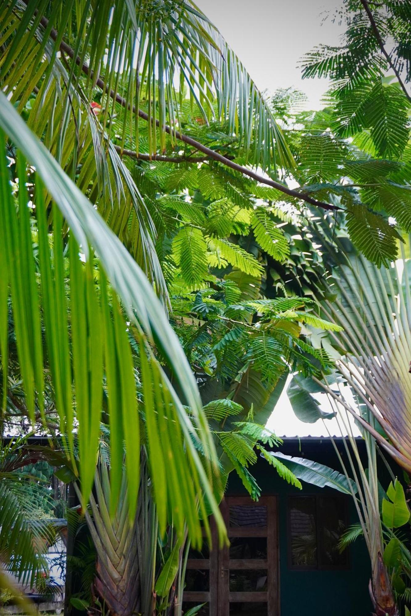Houttuyn Wellness River Resort Paramaribo Kültér fotó