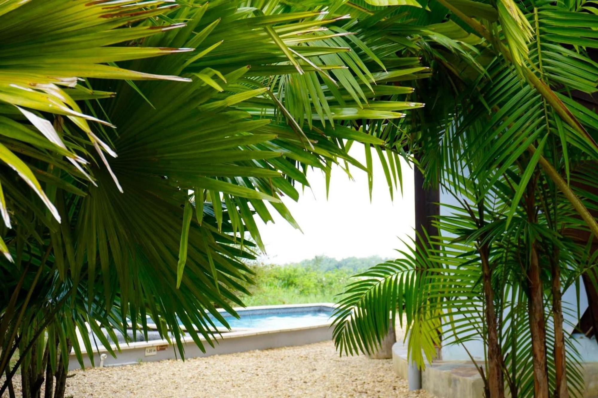Houttuyn Wellness River Resort Paramaribo Kültér fotó