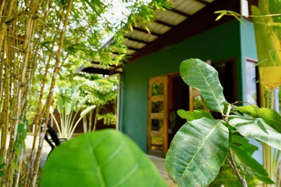 Houttuyn Wellness River Resort Paramaribo Kültér fotó